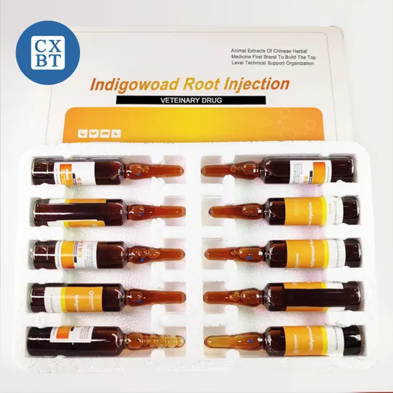 Veterinary Drugs for Respiratory Diseases: Radix Isatidis Injection for Antibacterial, Antiviral, and Immune Regulation