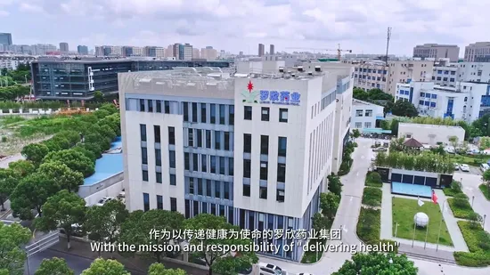 Sulbactam Sodium API Sterile Powder Manufacturer with GMP Certificates