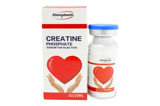 Shinepharm Cardiovascular Remedy: Creatine Phosphate Sodium Injection 