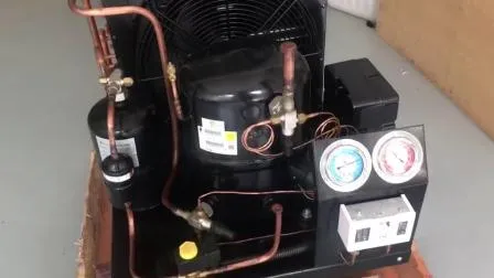 Tecumseh Enclosed Refrigerating Compressor Caj2464z 